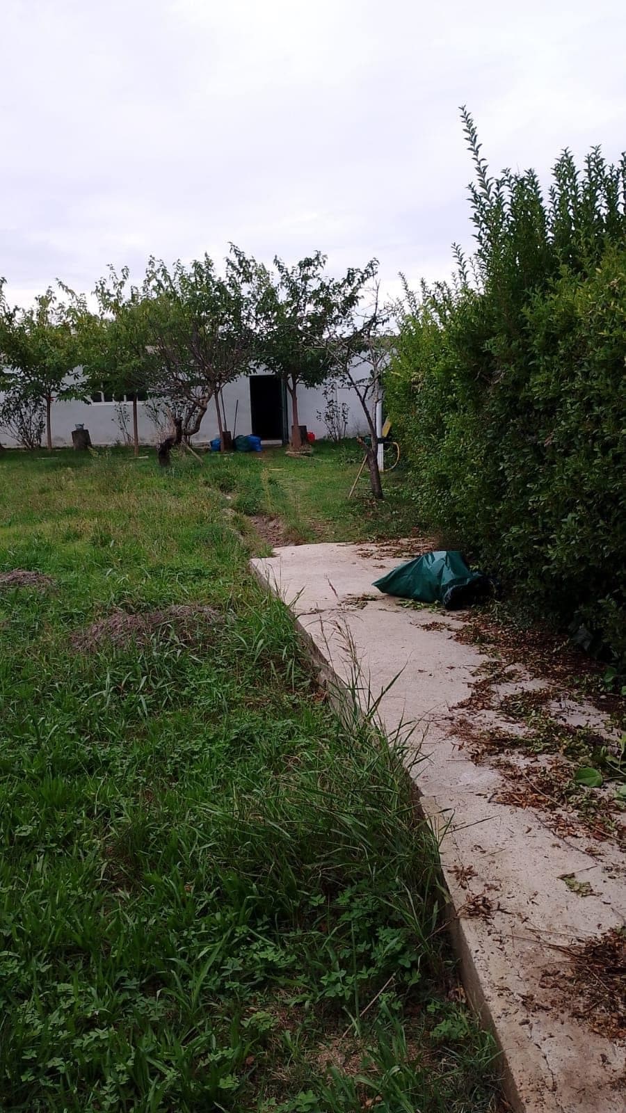 Casa recuperada en Casetas (Zaragoza) Inquilinos morosos - Imagen 10