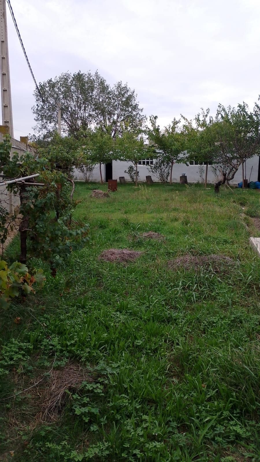 Casa recuperada en Casetas (Zaragoza) Inquilinos morosos - Imagen 11