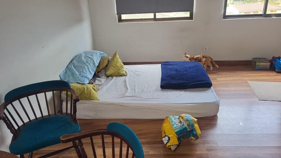 Inmueble recuperado en Chillarón del Rey (Guadalajara), inquilinos morosos - Imagen 9