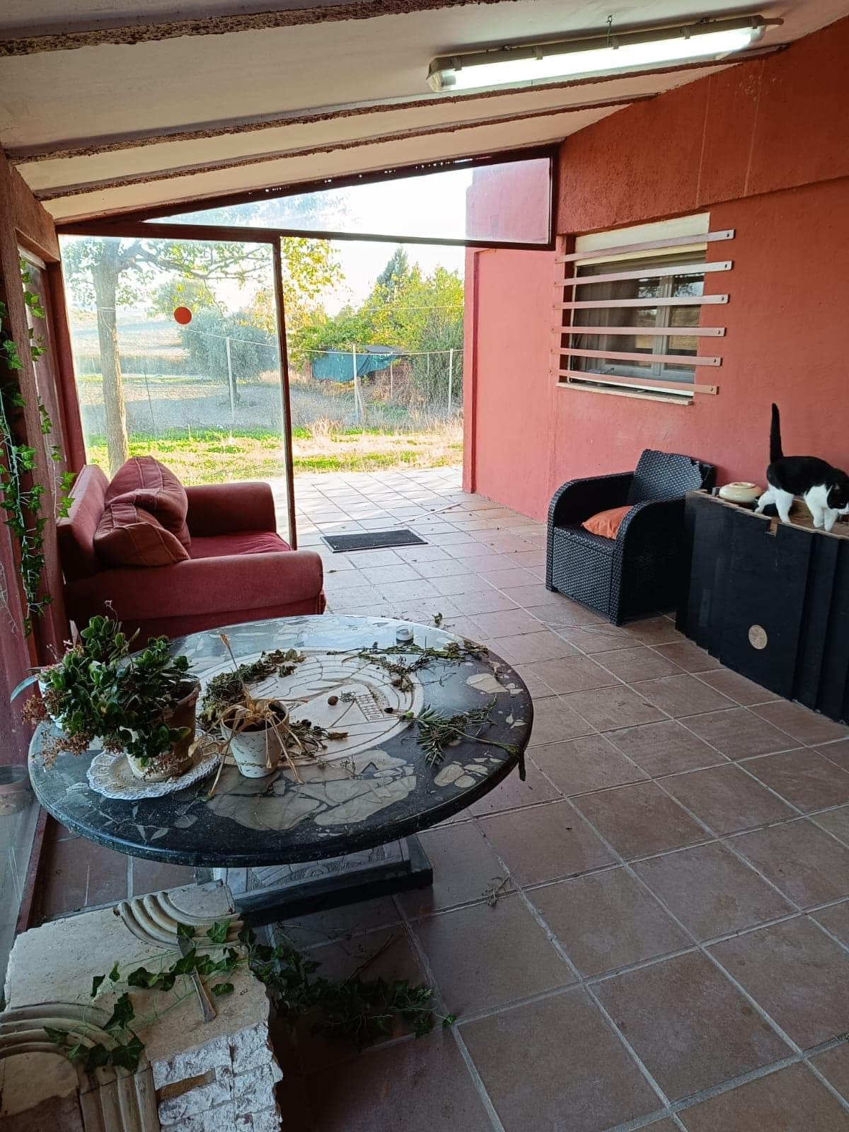 Inmueble recuperado en Colmenar de Oreja Inquilinos morosos - Imagen 14
