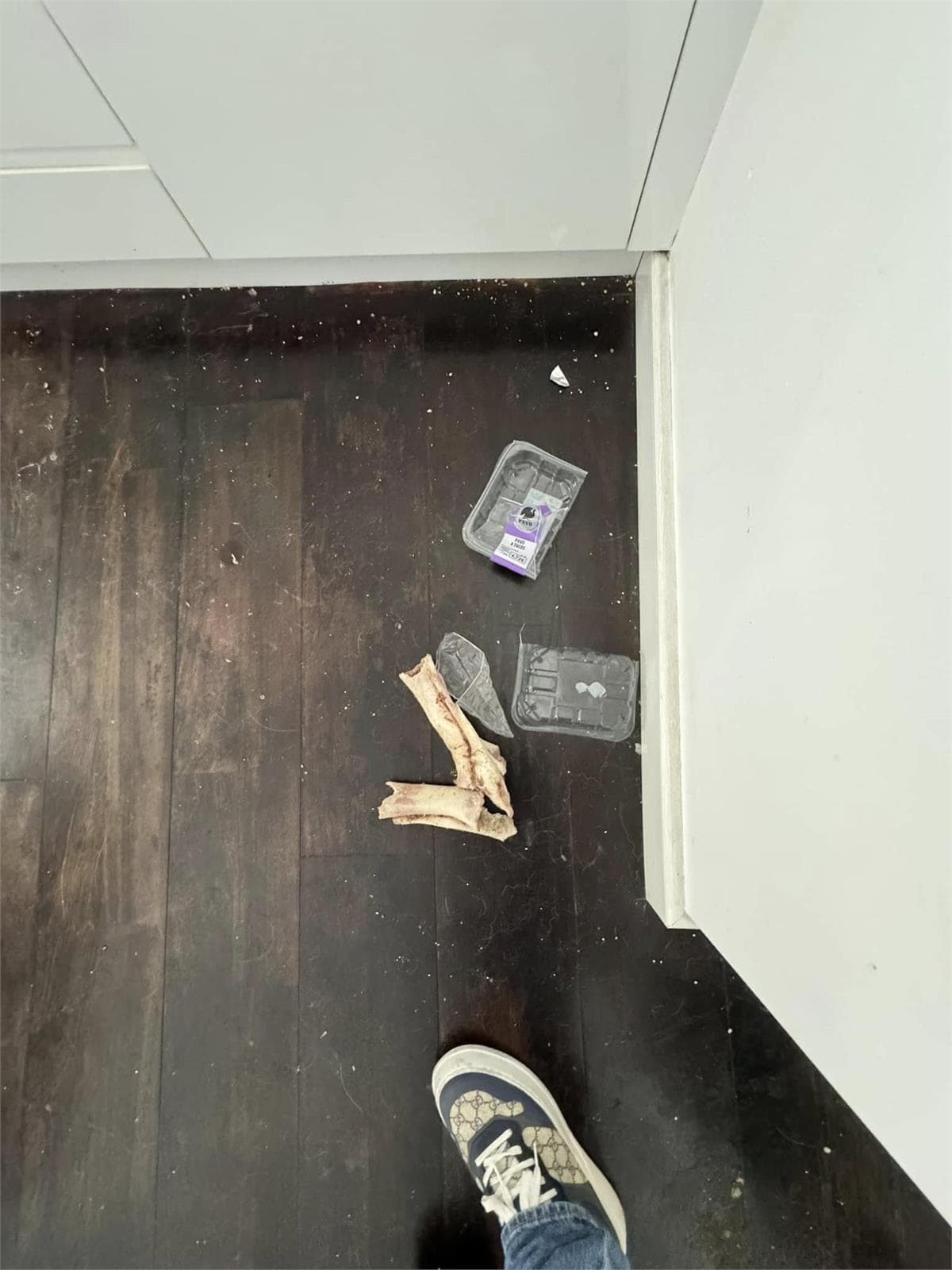 Inmueble recuperado en Coruña piso turístico ocupado en Precario recuperado en 72horas - Imagen 4