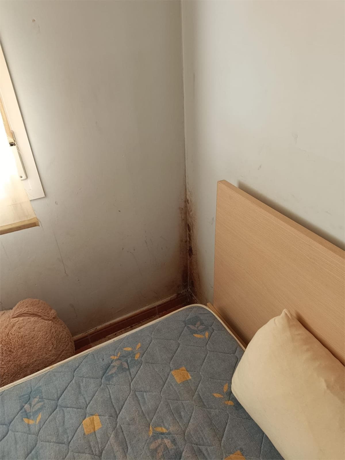 Inmueble recuperado en la localidad de Borox (Toledo) - Imagen 2