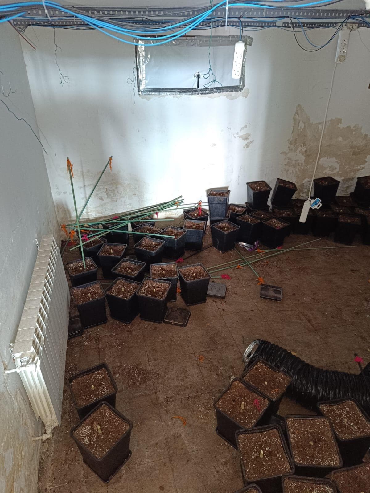 Inmueble recuperado en Miraflores de la sierra Vivienda usada para el cultivo de marihuana - Imagen 13