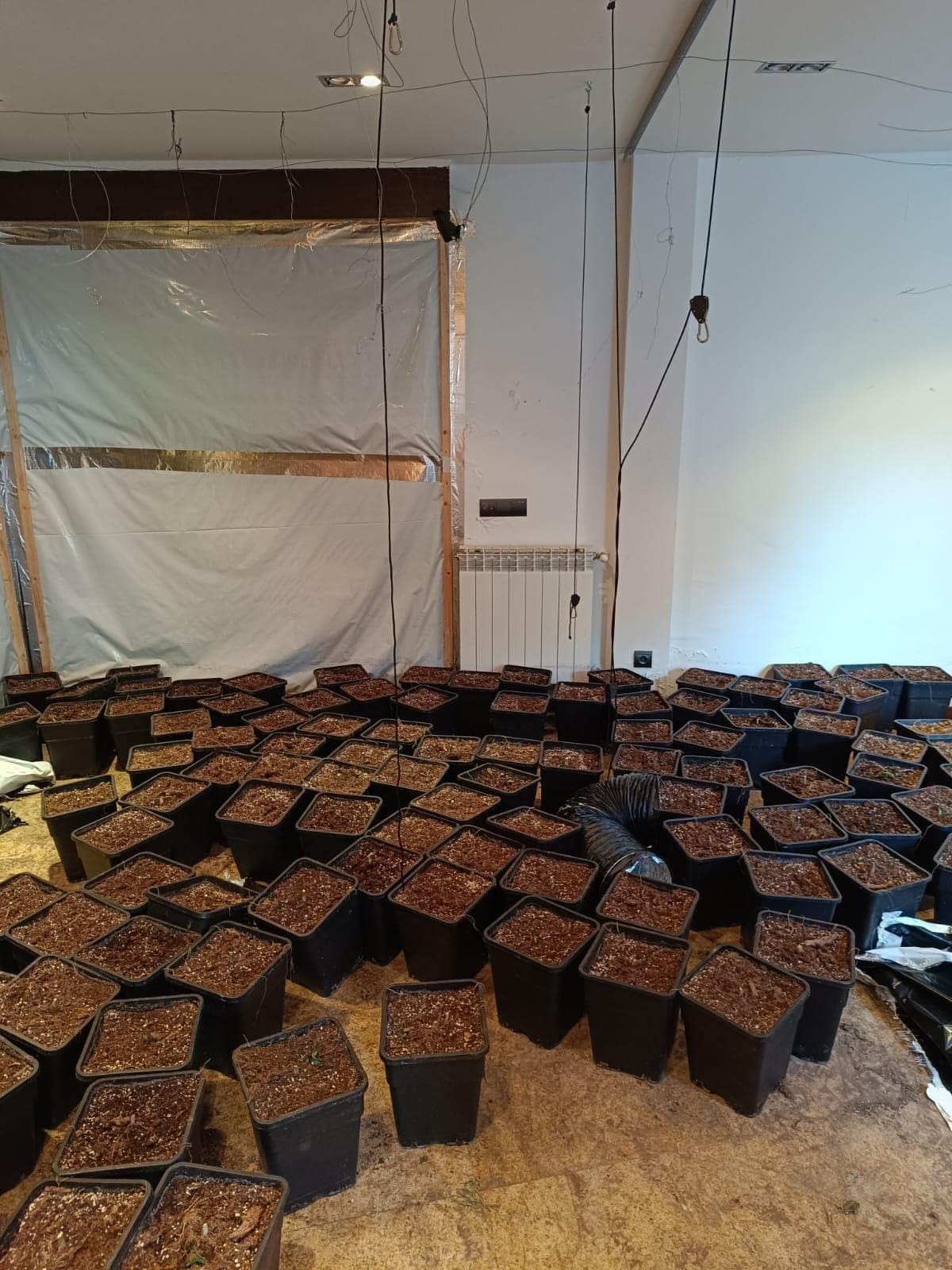 Inmueble recuperado en Miraflores de la sierra Vivienda usada para el cultivo de marihuana - Imagen 17