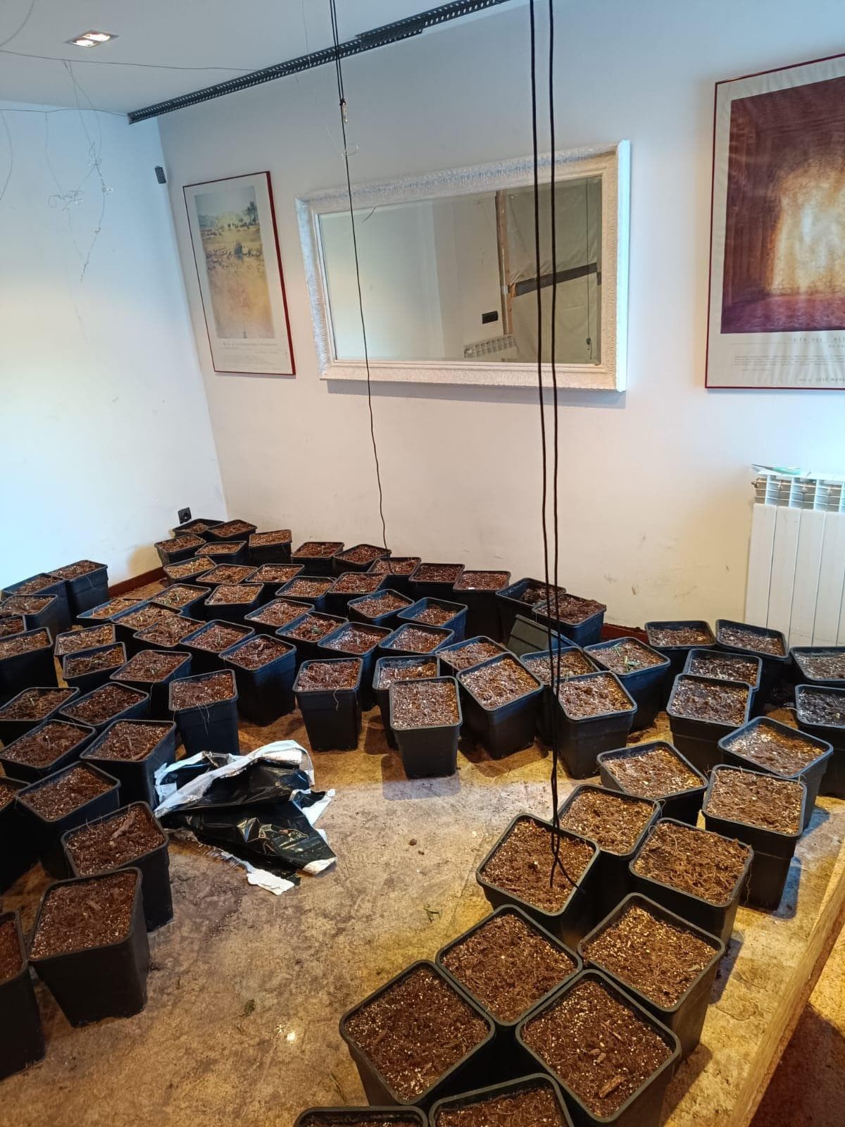 Inmueble recuperado en Miraflores de la sierra Vivienda usada para el cultivo de marihuana - Imagen 19