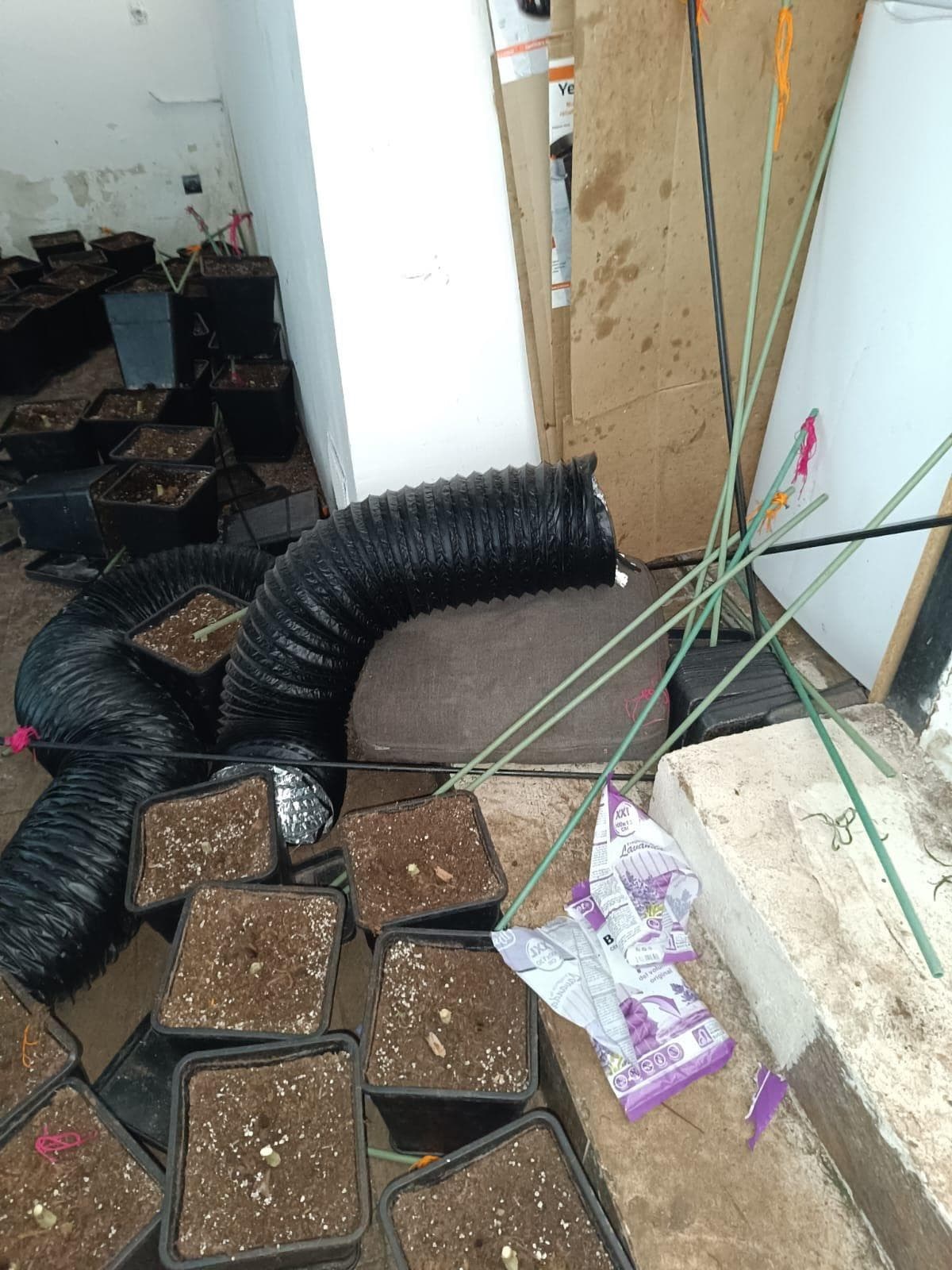 Inmueble recuperado en Miraflores de la sierra Vivienda usada para el cultivo de marihuana - Imagen 23
