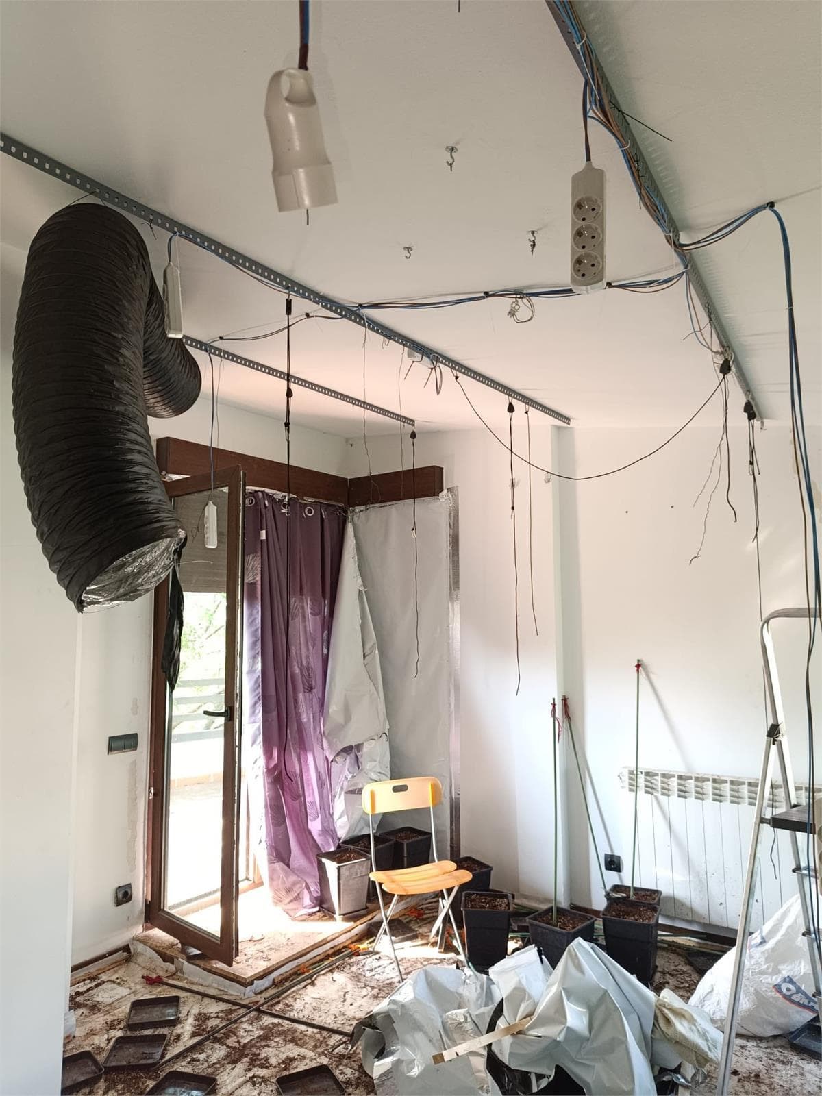 Inmueble recuperado en Miraflores de la sierra Vivienda usada para el cultivo de marihuana - Imagen 6