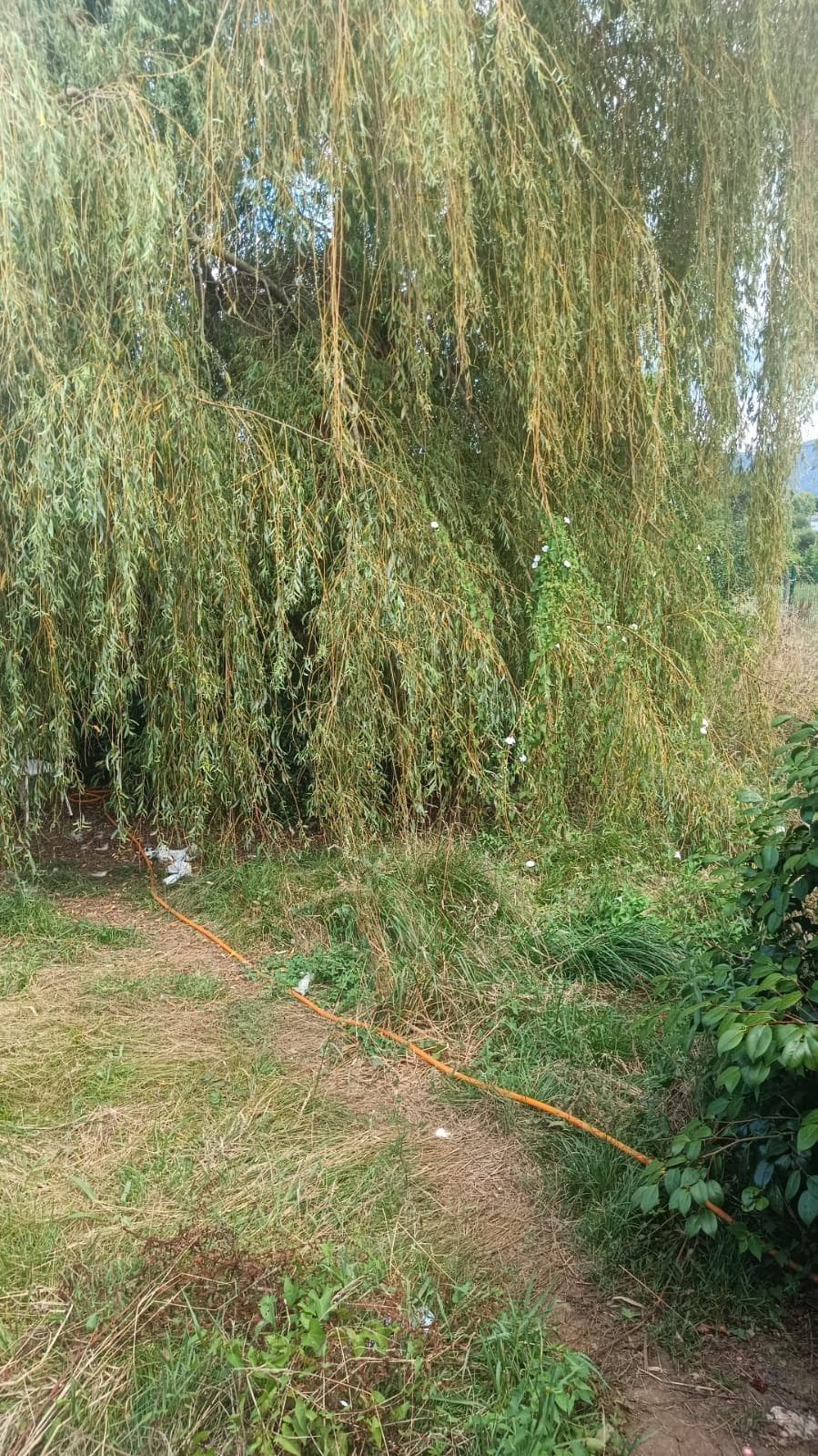 Inmueble recuperado en Navas (Asturias) inquilino moroso - Imagen 11