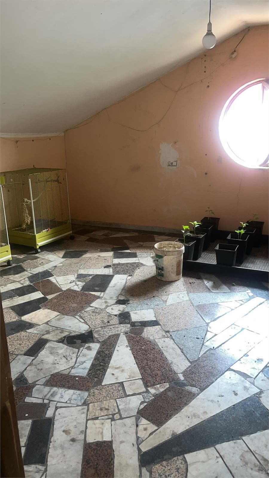 Inmueble recuperado en Navas (Asturias) inquilino moroso - Imagen 6