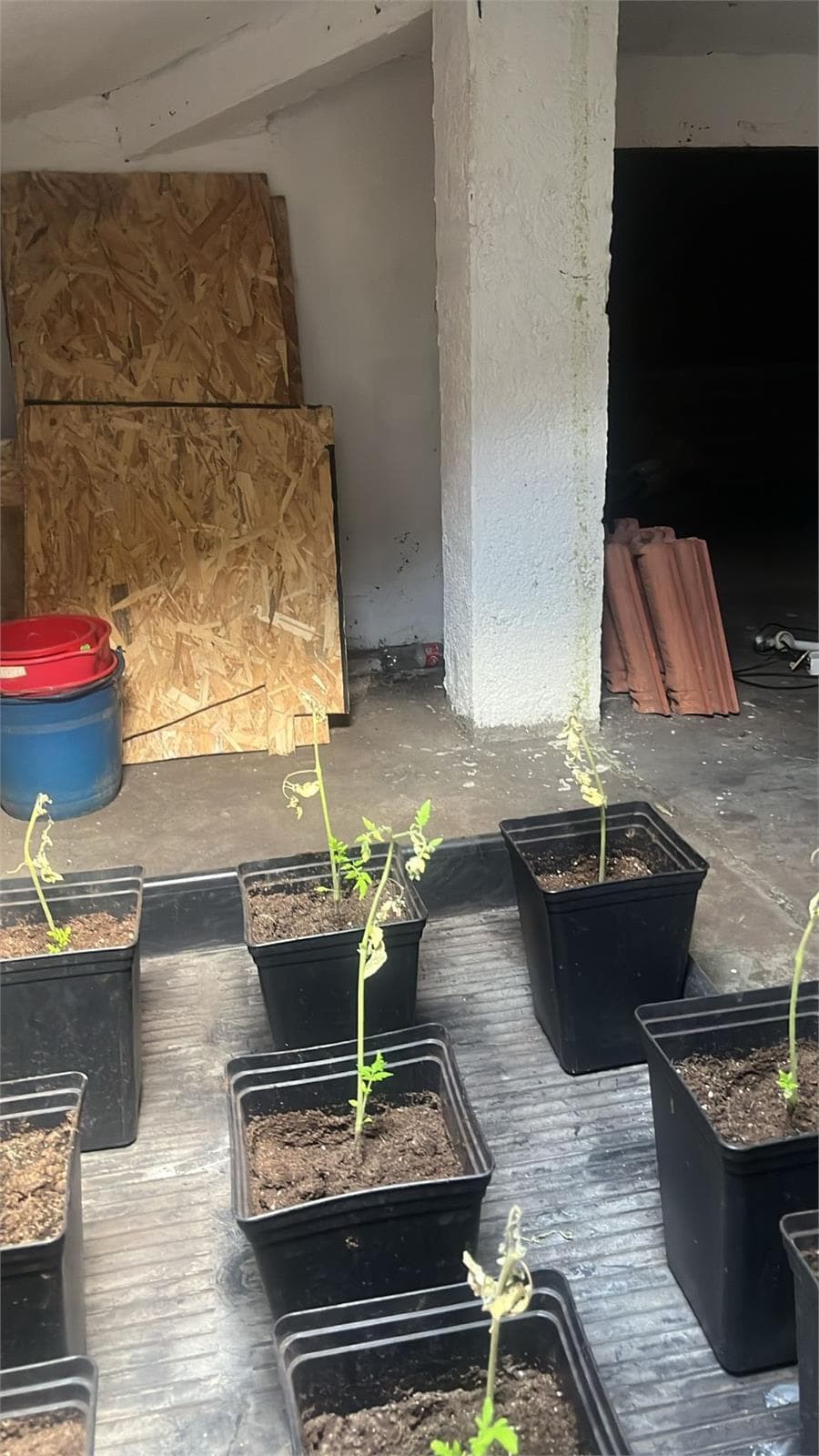 Inmueble recuperado en Navas (Asturias) inquilino moroso - Imagen 7