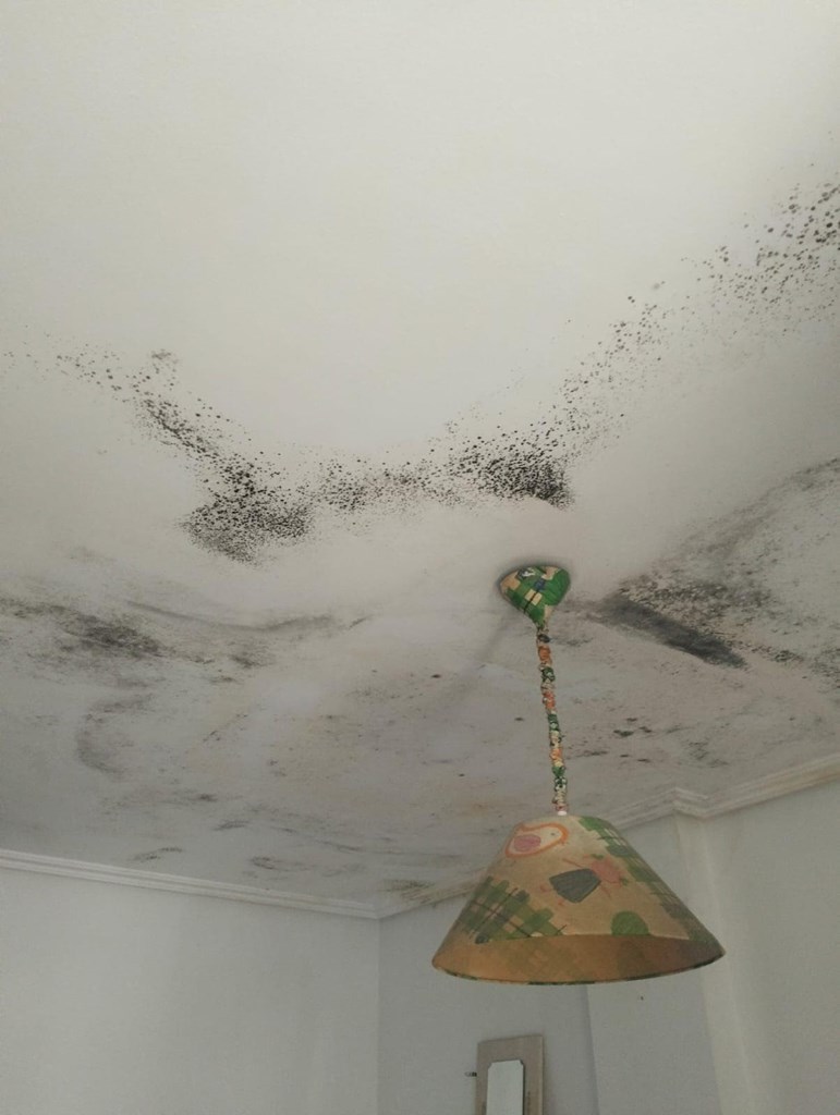 Inmueble recuperado en Ribadavia (Ourense) Inquilinos morosos