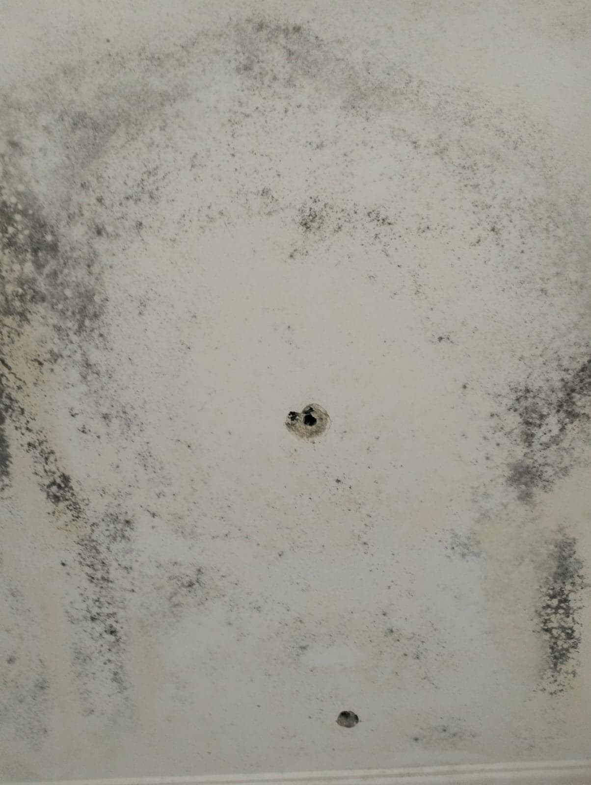 Inmueble recuperado en Ribadavia (Ourense) Inquilinos morosos - Imagen 8