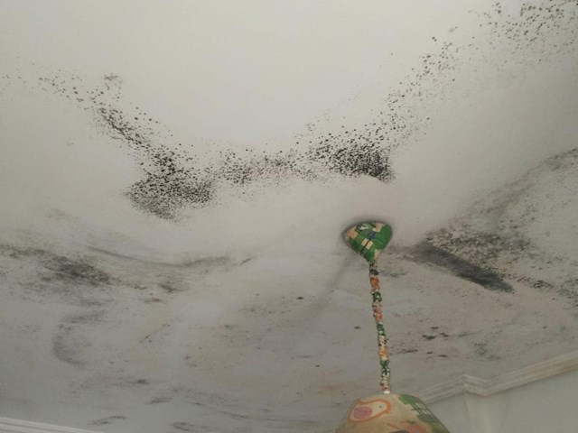 Inmueble recuperado en Ribadavia (Ourense) Inquilinos morosos