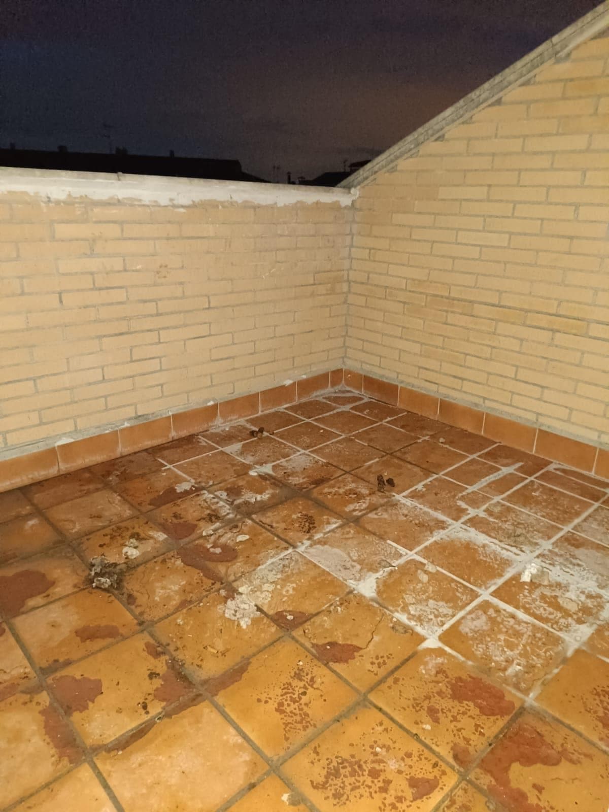 Inmueble recuperado en Yeles Inquilinos morosos - Imagen 13