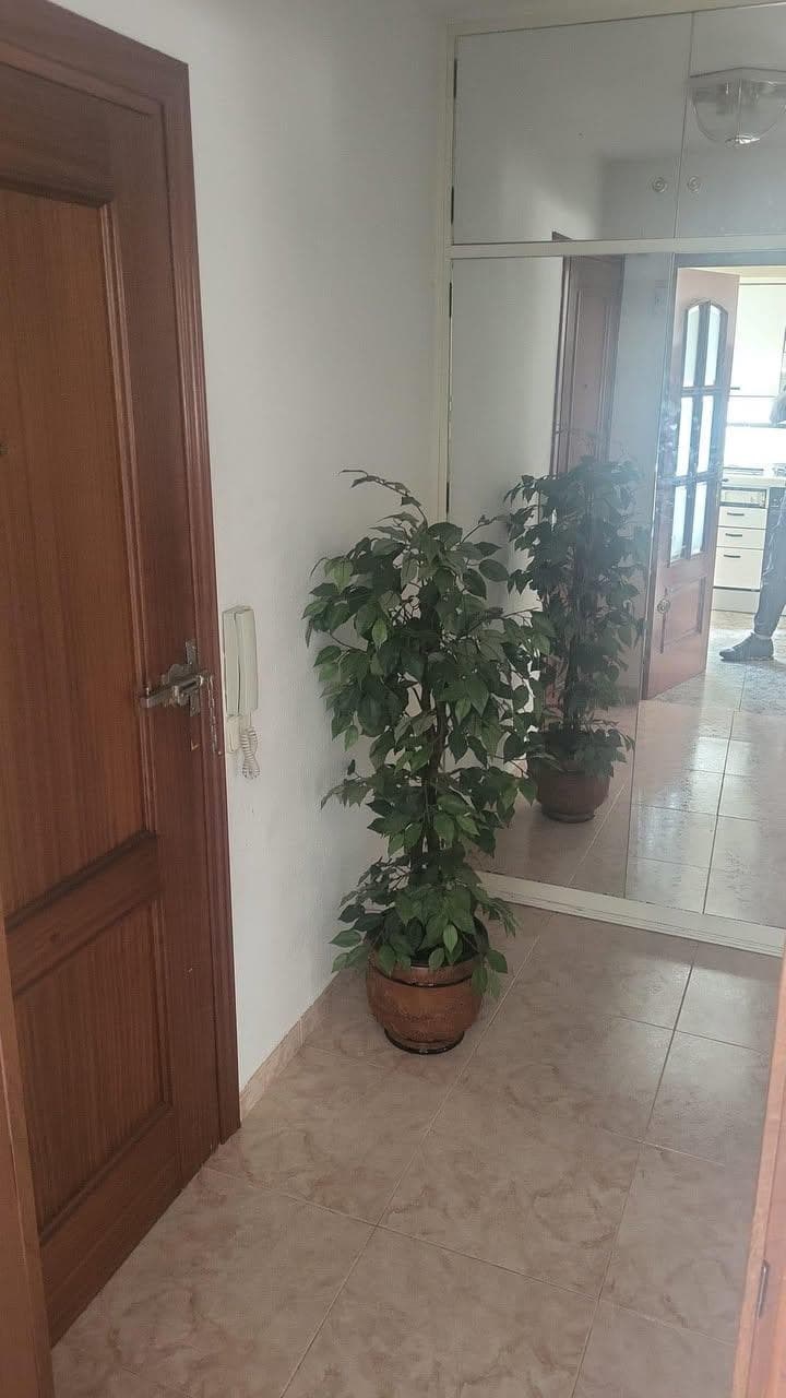 Inquilino en precario Ciudad Real - Imagen 5