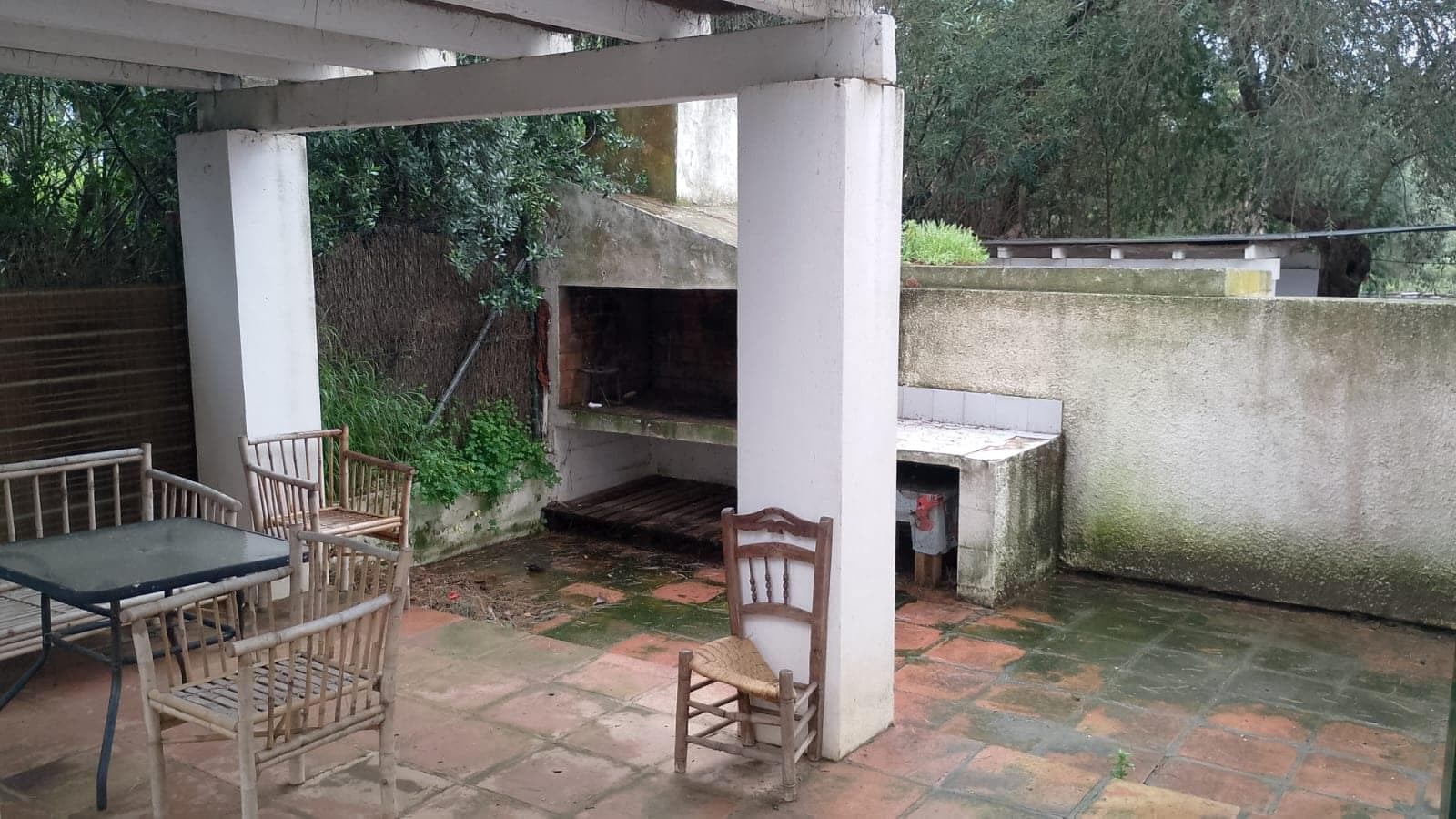 Inquilino en Precario en Sotogrande (Cádiz) - Imagen 4