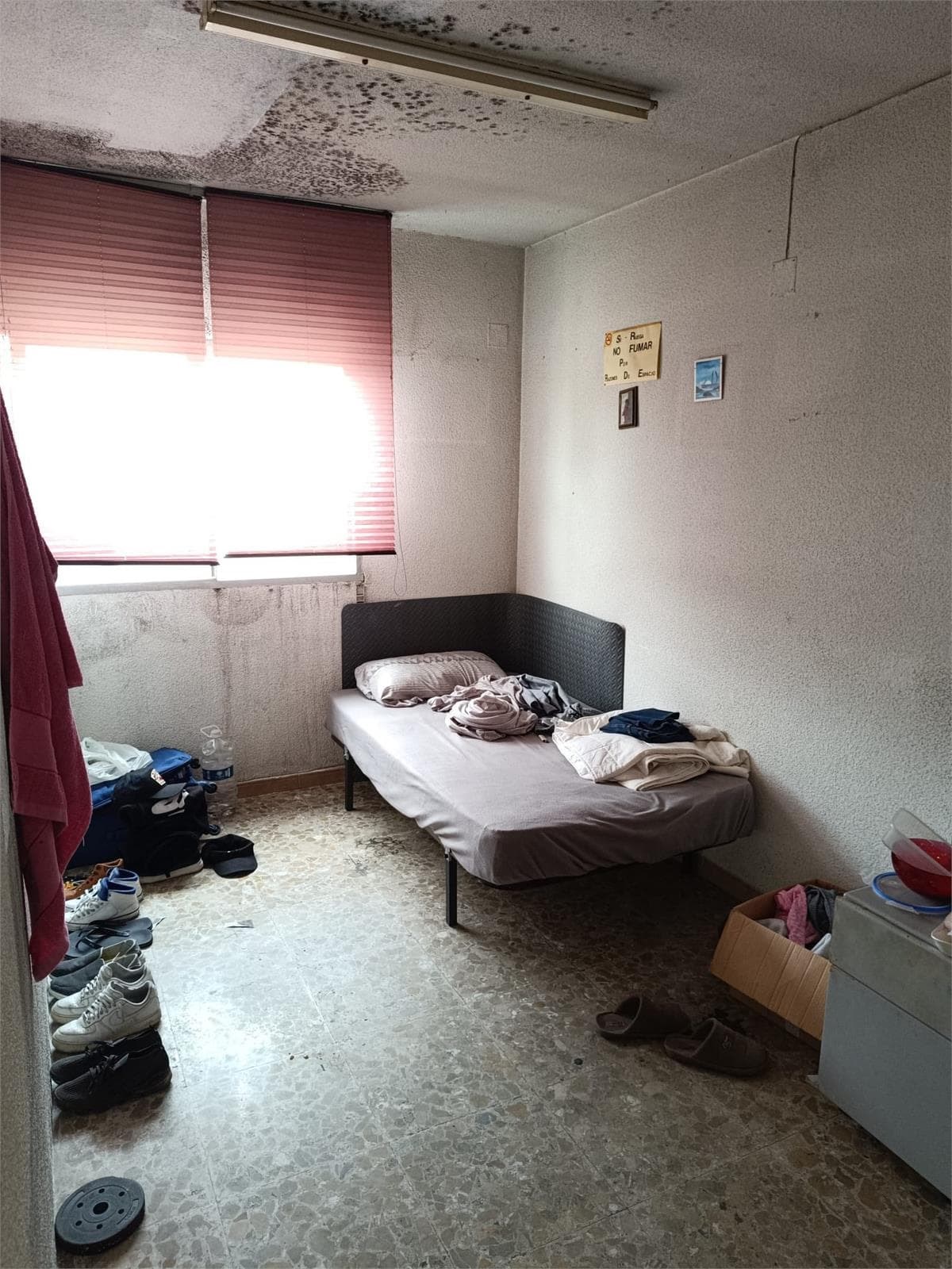 Nave Okupada recuperada en Pinto - Imagen 11