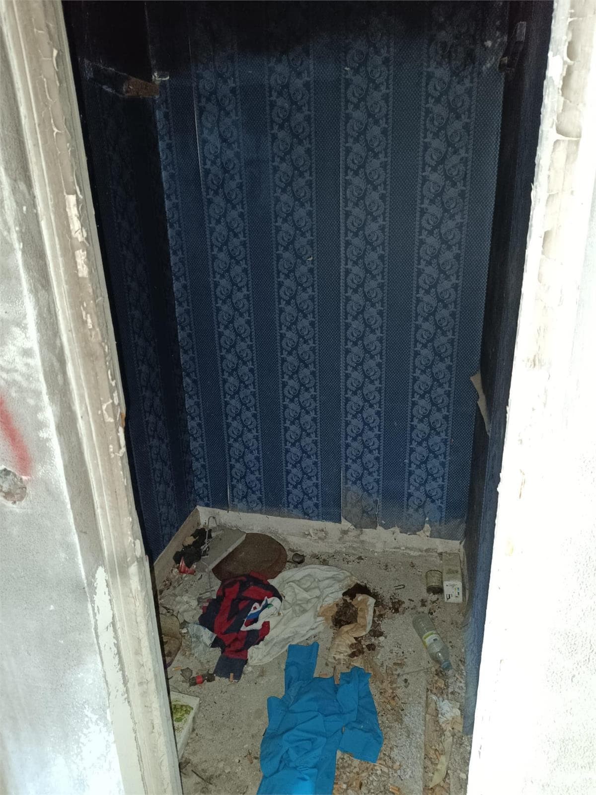 Villa recuperada en Torrelodones (Madrid) Ocupada Ilegalmente - Imagen 16